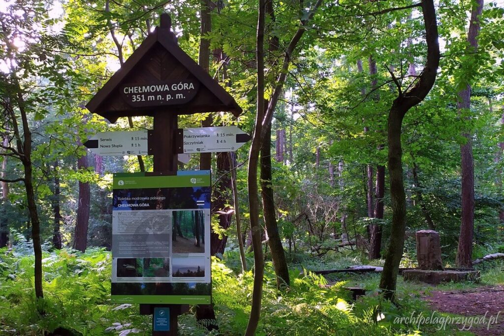 Chełmowa Góra - tablica informacyjna świętokrzyskiego parku narodowego